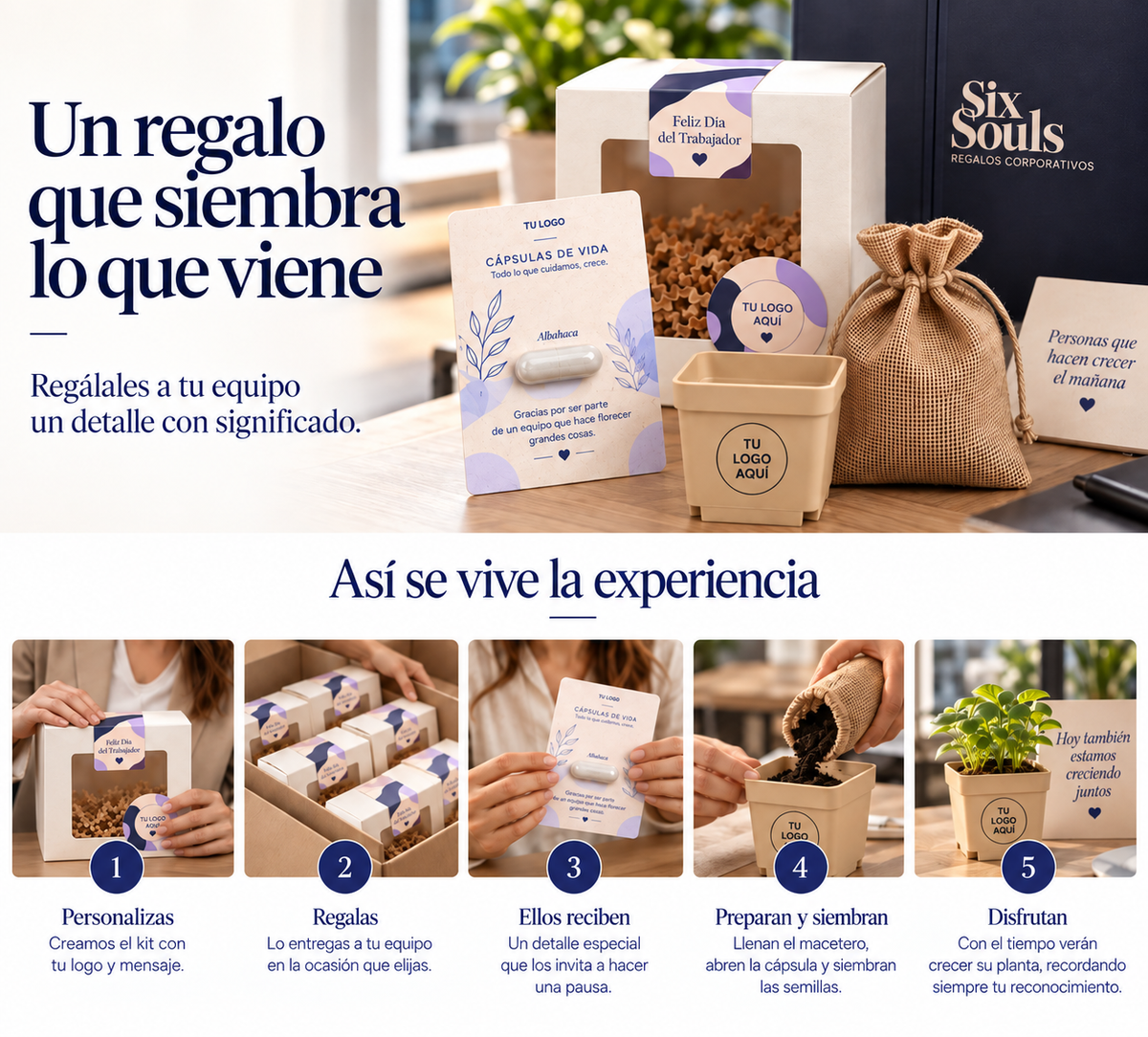 Kit Cultiva