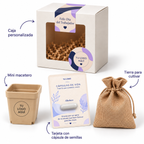 Kit Cultiva